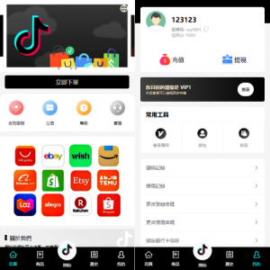 多语言tiktok抢单刷单系统/海外抢单系统/连单卡单
