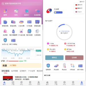 运营版JAVA股票系统/新股抢筹/大宗交易/VIP抢筹