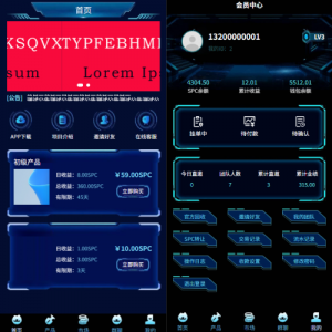 虚拟币矿机投资系统/系统币C2C交易/多级分销/群聊系统