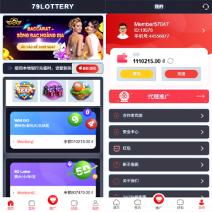 运营版快三竞猜投注系统/多语言彩票/预设系统彩